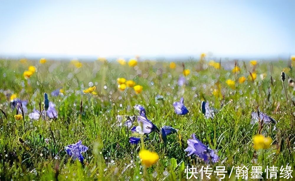 蔽月山房$15首哲理诗词,首首经典,一不小心就成为千古名句