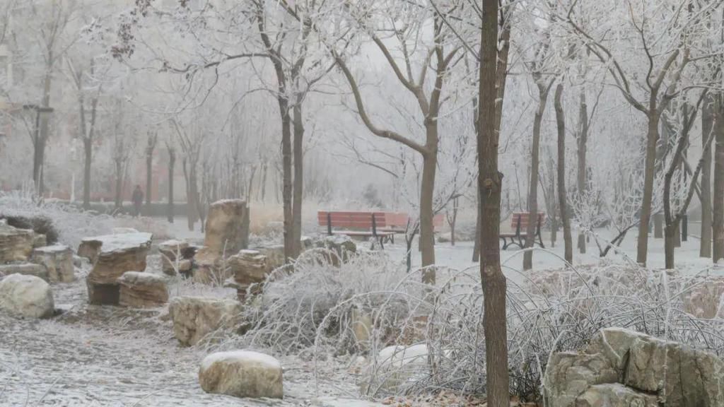 昨晚徐水又悄悄下了一场“雪”！