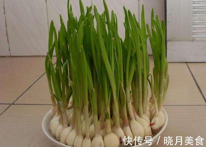 7种“蔬菜”冬天种,0度冻不死,吃一茬冒一茬,连续吃半年