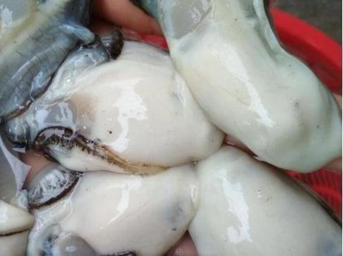 柿饼|提醒中老年花生瓜子要少吃,多吃这几物, 胜过天天去跑步