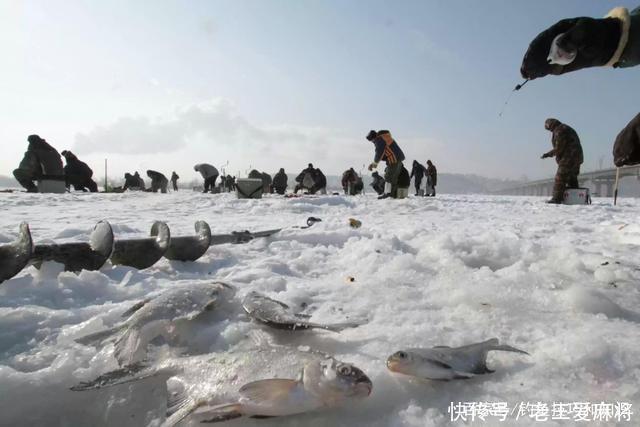 诀窍|冬天钓鱼有什么好用的技巧冬季钓鱼四个好用的四个诀窍