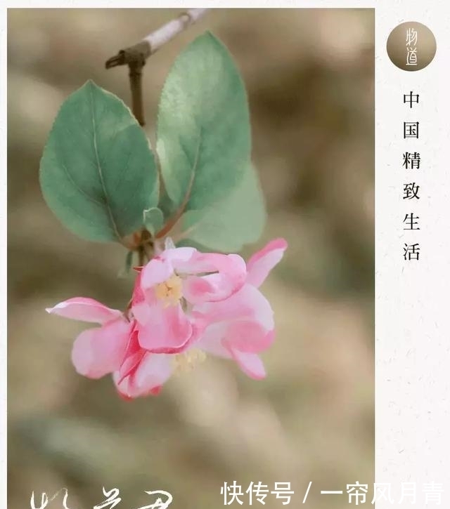 清明为什么要祭祖?这是我听过最好的答案