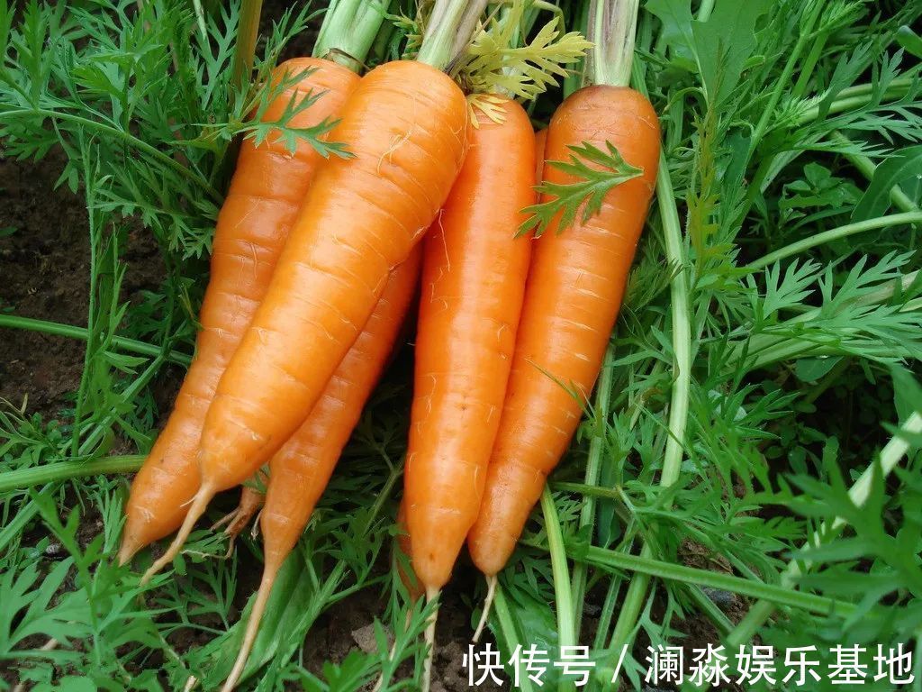 重症室|3岁小男孩,昏迷不醒,住进重症室,奶奶的无知,害了孙子