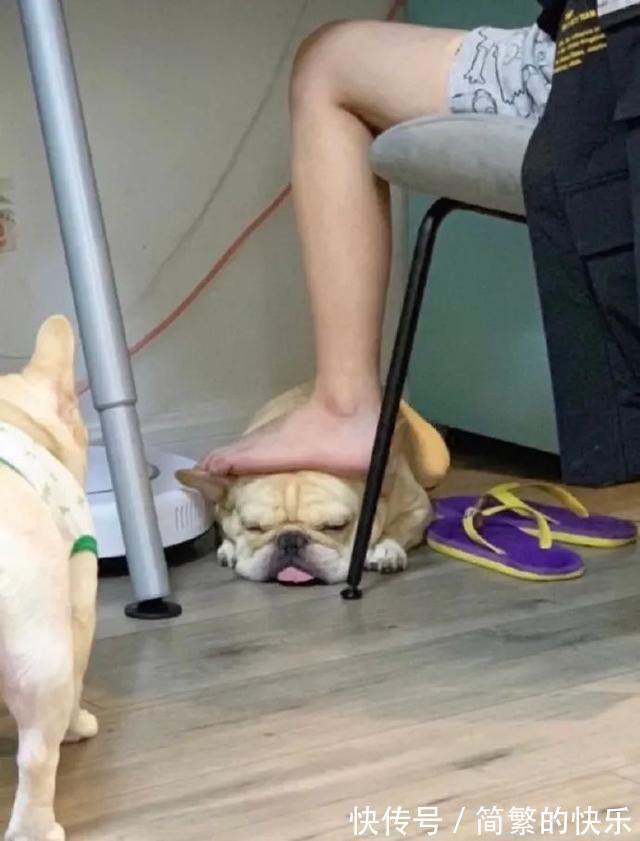 |有被冒犯到  冷段子1770