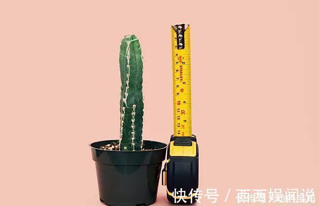 生长发育|忽略了这点,孩子身高只有1米5,父母知道真相后悔不已