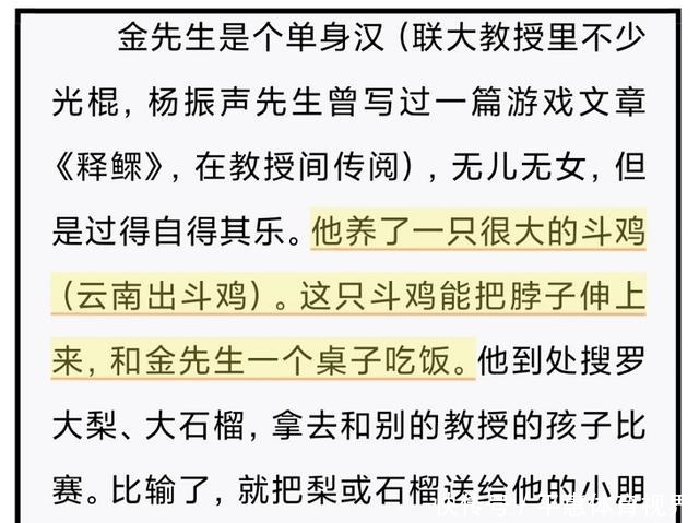 鼻子|小学生作文“小姨的假鼻子”火了，网友：不会是你气歪的吧？赔钱