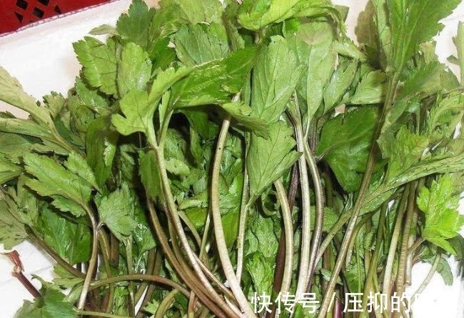 肠胃疾病|这野菜不过3元1斤，炖汤喝比羊肉还滋补，孩子吃了能预防感冒