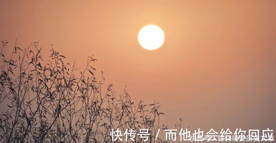 纳兰容若$20句令人惊艳的诗词，读一遍，就再也忘不掉