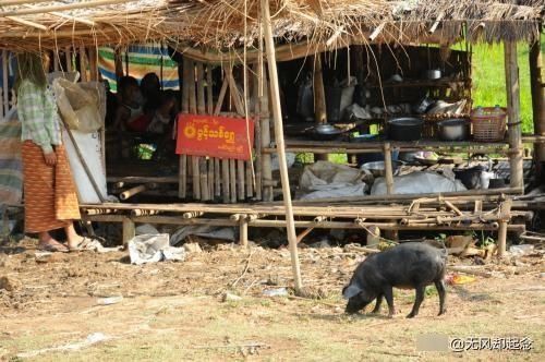 俗语“笑贫不笑娼”,其实下半句才是精华,古人忠告,早知早受益