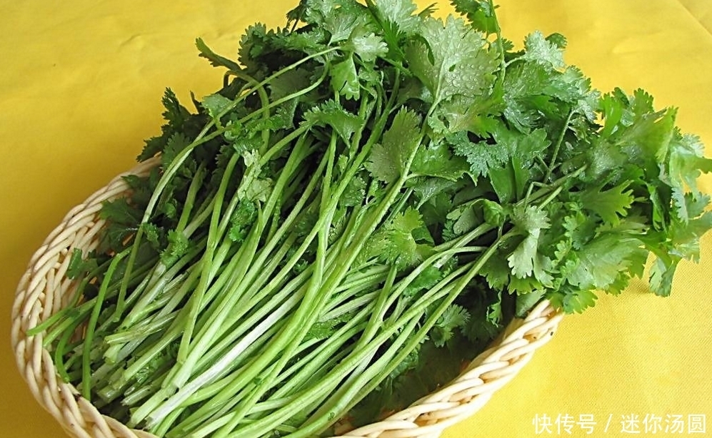 滋阴|农村不起眼的野菜，能补阳滋阴，解酒毒，抗衰老，5月最该吃！