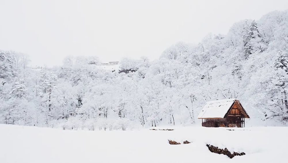  今日|今日大雪｜岁暮阴阳催短景，天涯霜雪霁寒宵