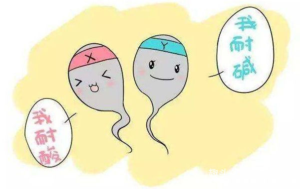 女婴|女婴出生率越来越高,大夫说出4点原因,很现实