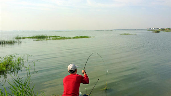  出鱼|仲春时节钓鱼忙，钓位要选这些地形，最是容易出鱼