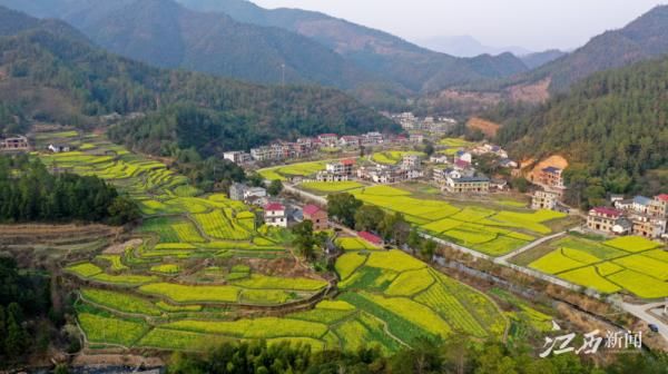 万安：油菜花开 乡村如画