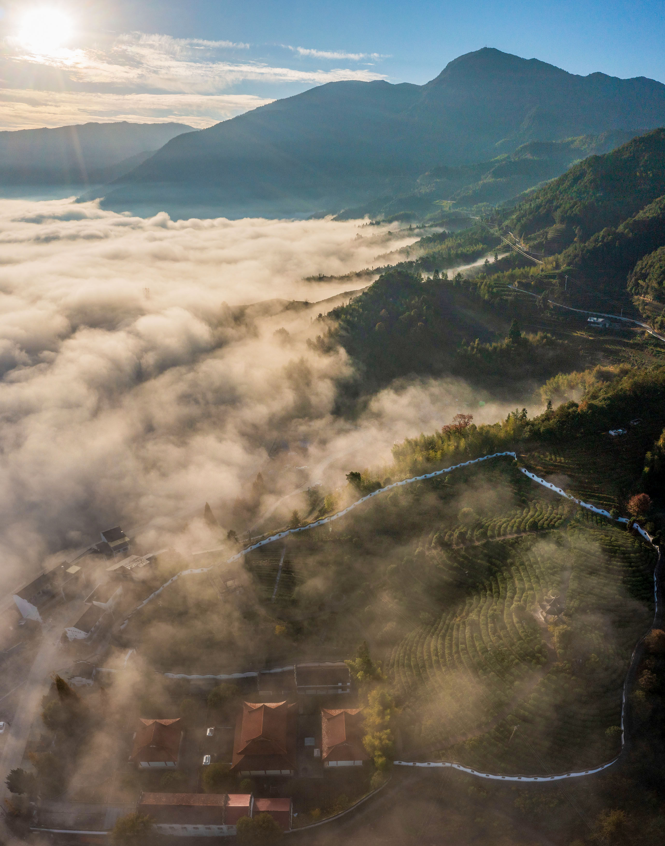 美景|畲乡景宁云海翻涌似仙境秋色美景入画来