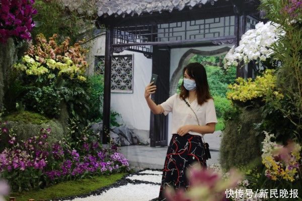 雨天逛博别有风情 幽兰竞放图景美好|花田速写 | 花艺馆