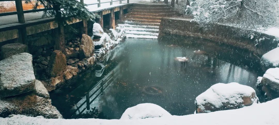 气温|杭州，雪！宁波，雪！绍兴，雪！可能要下到……太刺激了！