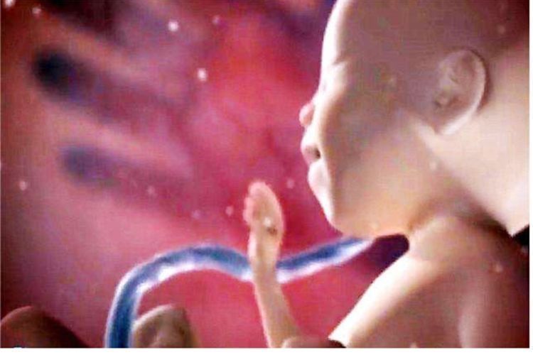 妈妈|在孕期,胎动频繁的宝宝是不是性格很调皮?性格娘胎里就已经定了