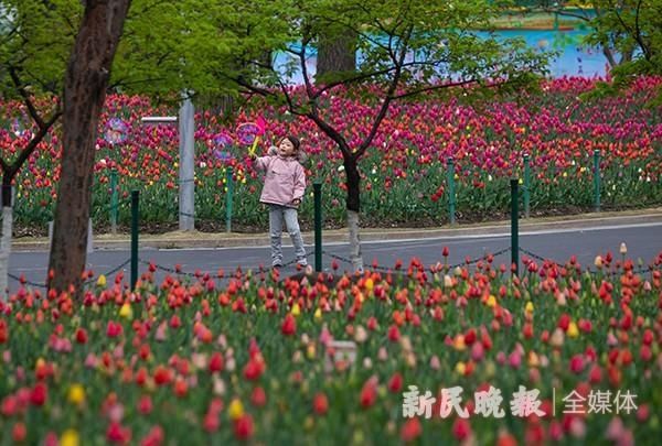 三月春风百花开