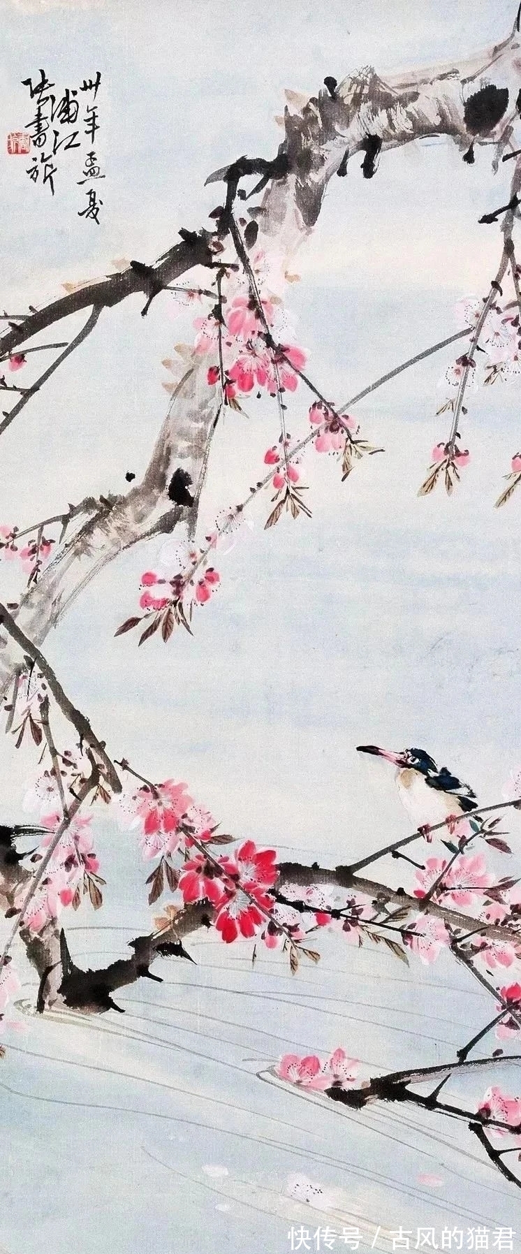 花鸟画!独特的魅力|张书旂花鸟画