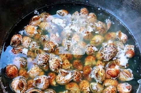 食客|这东西在美国卖出了高价,中国却要花重金清理,食客:长错了地方