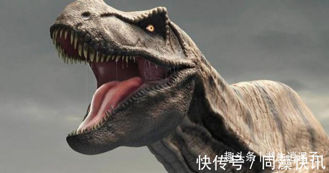 35个冷知识教科书上不会出现，但却真实存在于世界各地