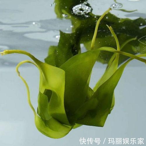 椰枣|建议中老年人别舍不得花钱!多吃点以下的食物,营养美味身体好