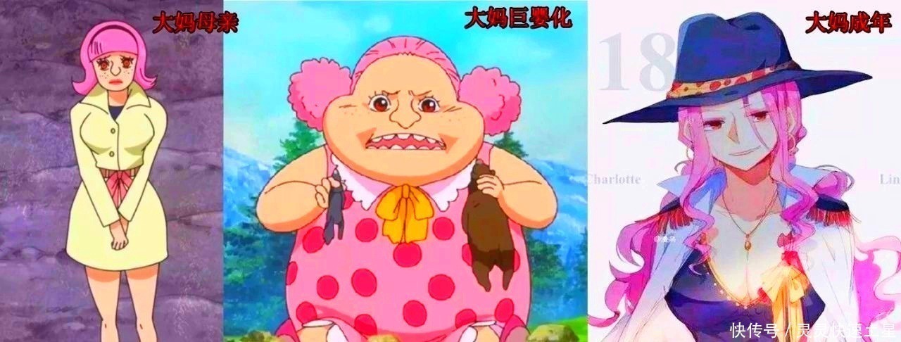 恶魔果实|海贼王能力者死后,恶魔去哪了,大妈和黑胡子告诉你,就在身边