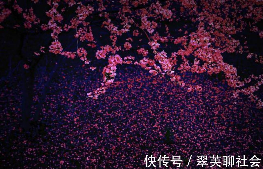 落花$清初大诗人施闰章一首《山行》,同样写得很美,山野春景如诗如画