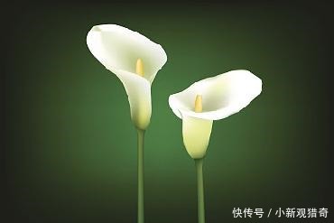 纳兰性德最感人的一首词,不知温柔了多少人的时光