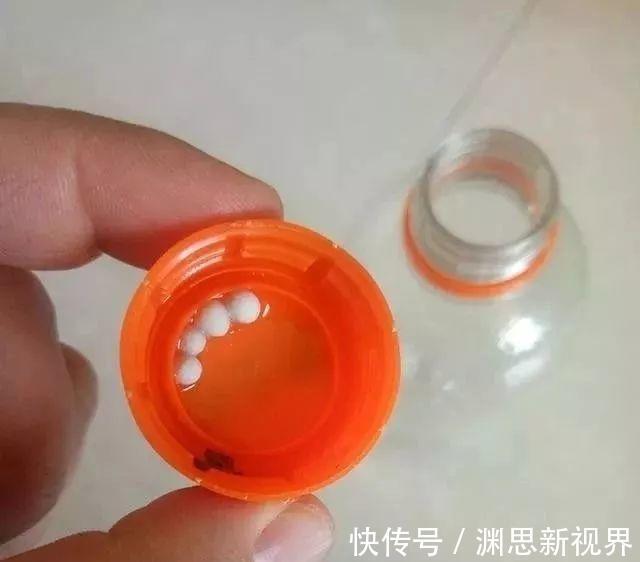 叶片|养铜钱草要“抓重点”，记住“2多1勤快”，叶子比硬币大2倍