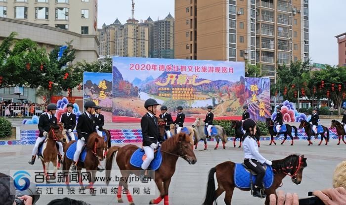  德保|德保红枫文化旅游观赏月活动启动