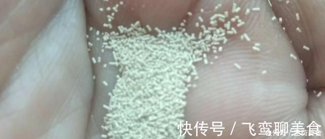 碳酸氢钠|和面时,泡打粉和酵母能一起放入吗?面点大厨给你分析