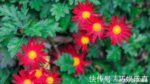 天仙子&北宋词人醉后睡醒,写下一首伤春词,其中七字惊艳世人