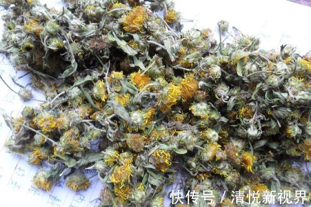 野菜|农村河边的小黄花,药用价值很不错,如今一斤二十元钱,记得摘
