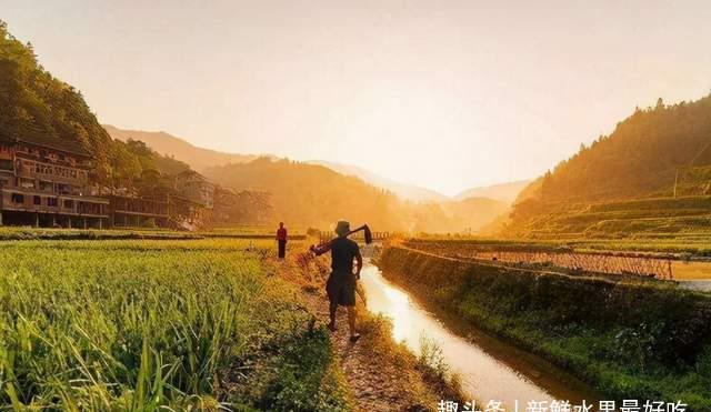 四大|农村有“四大怕、四大喜、四大急、三大宝”,道出农村人的智慧