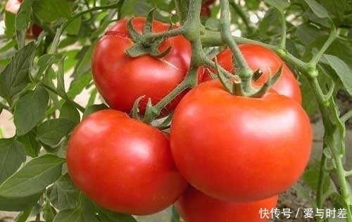 番茄|糖尿病有两种水果不能吃，反之，吃两种水果、记住四点可降血糖