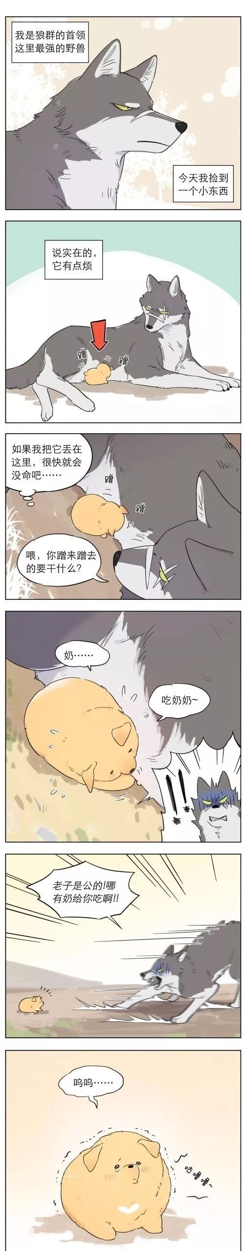 狼王|搞笑漫画：狼王的小奶狗