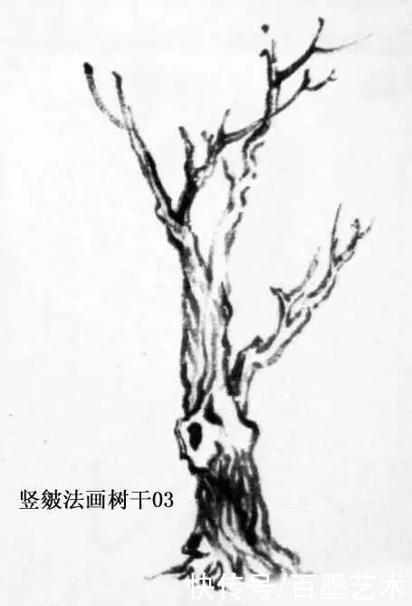  树干|「国画教程」树干的两种画法