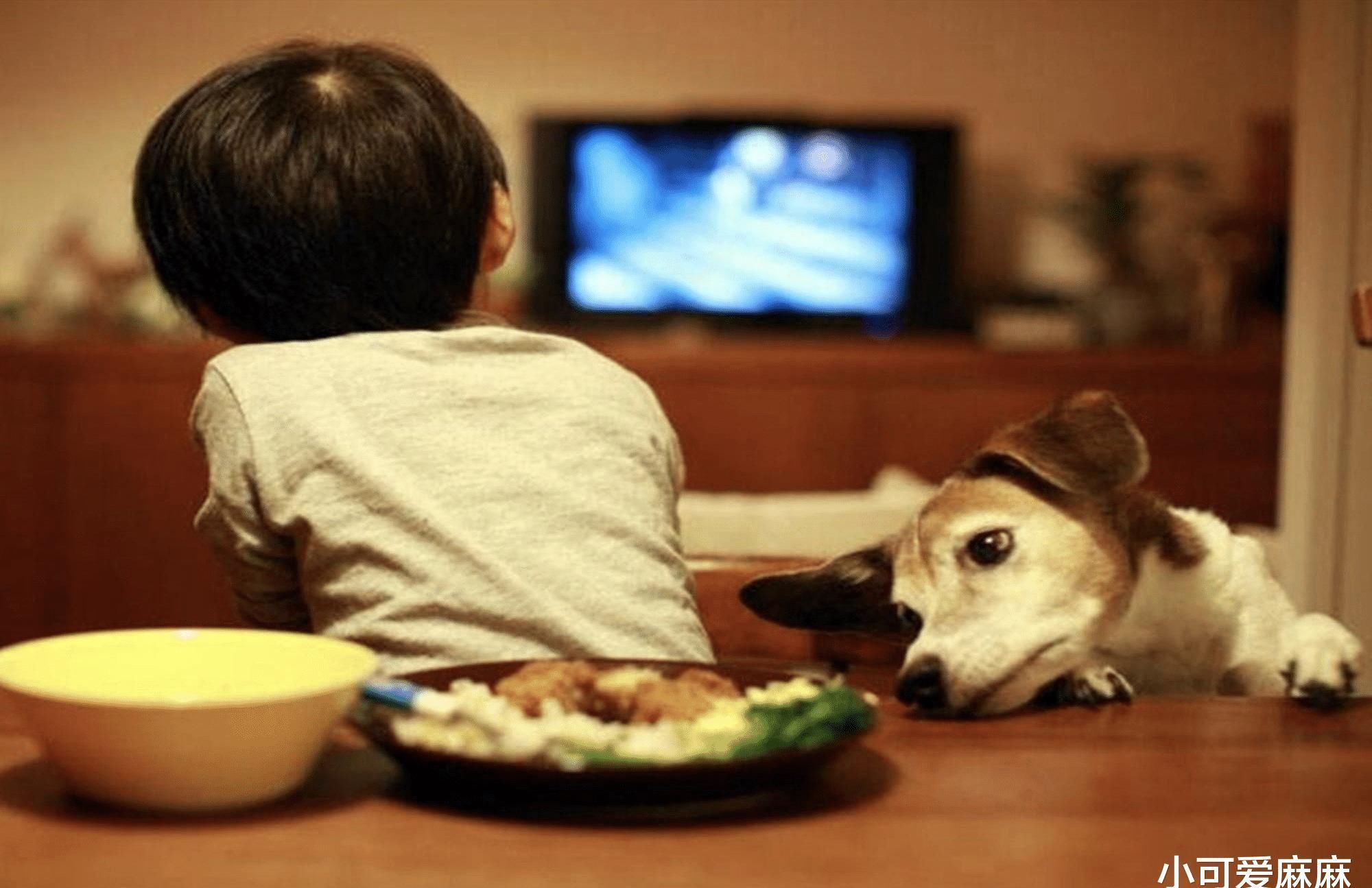 行为|哈佛研究发现:这6种行为会导致孩子大脑“变笨”,父母别大意了