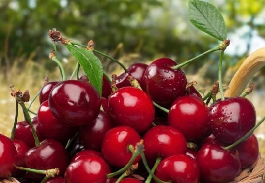 女性再節儉,也要多吃4種“土燕窩”,活血美容,60不顯老