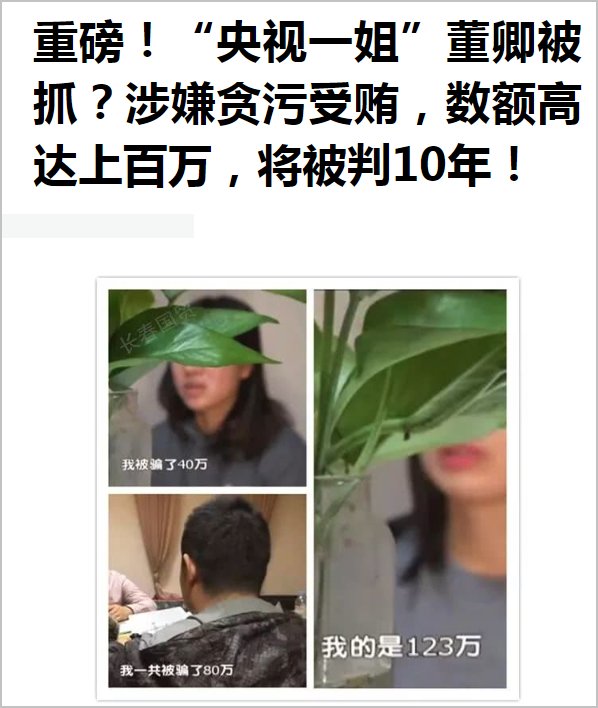 曝董卿出事遭封杀，新节目被毙，央视用行动表态为她打假