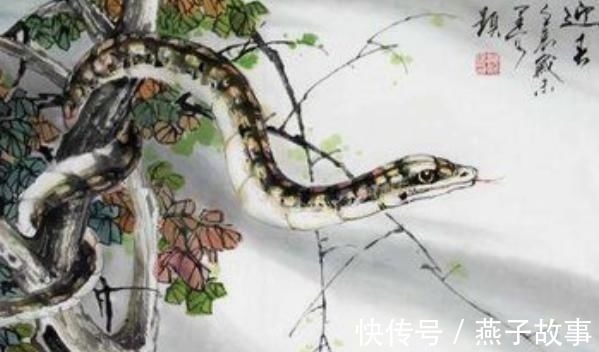 甜蜜蜜|老一辈人常说生肖蛇只要度过“2难”,后半生定能咸鱼翻身