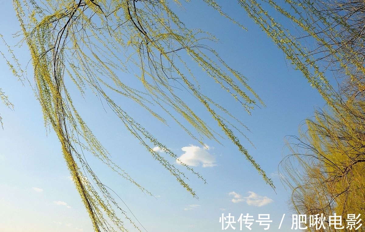 浪淘沙!十种与绝句格式相同的词牌,有的不拘平仄,何妨一试