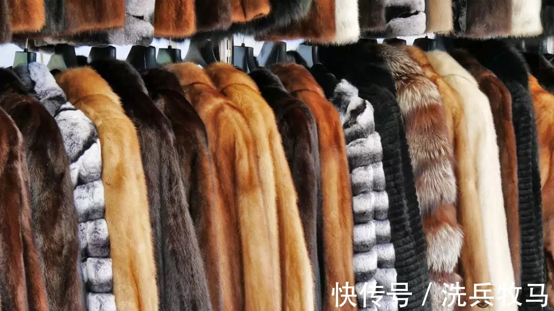 商场|上千家企业倒闭,曾经被“抢着买”的皮草,为何现在却卖不动了?