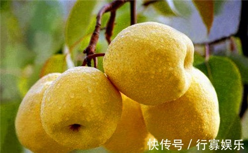 清热解毒|女性不妨多吃4种食物,补充营养、滋补身体,有益健康