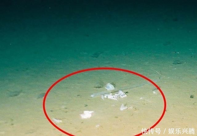 海沟 马里亚纳海沟1万米深处的水还是液态的吗?温度是多少?