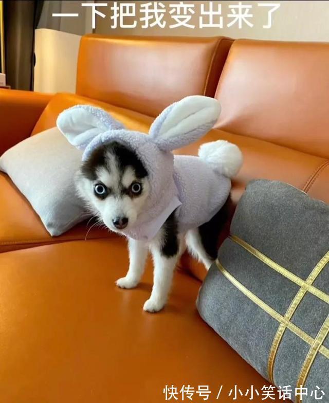 |今日笑话:关于前任,男生和女生不同看法