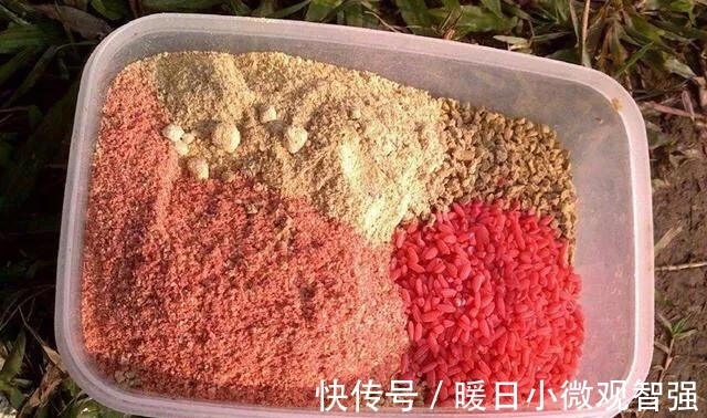 小鱼|夏天钓鲫鱼学会这几招，轻松避开小鲫鱼，咬钩的全是大板鲫