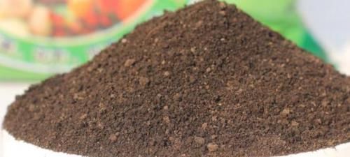 花都|学会制作这些“氮、磷、钾肥”,养啥花都长得又快又好